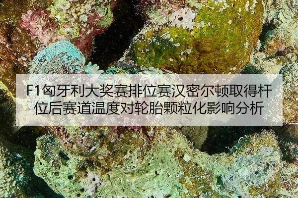 xiong-ya-li-da-jiang-sai-pai-wei-sai-han-mi-er-dun-qu-de-gan-wei-hou-sai-dao-wen-du-dui-lun-tai-ke-li-hua-ying-xiang-2-802.jpg