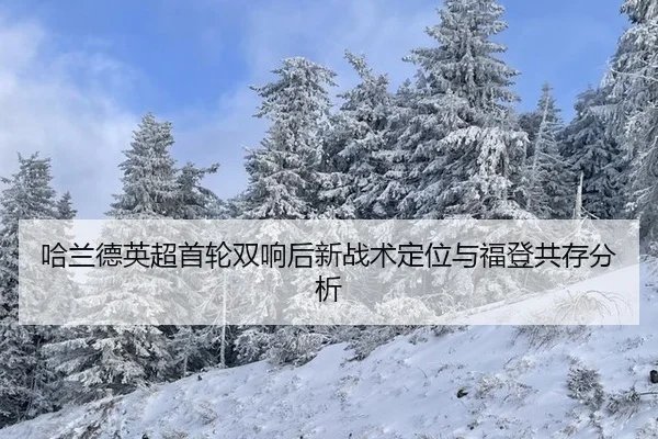 ha-lan-de-ying-chao-shou-lun-shuang-xiang-hou-xin-zhan-shu-ding-wei-yu-fu-deng-gong-cun-fen-xi-2-688.jpg